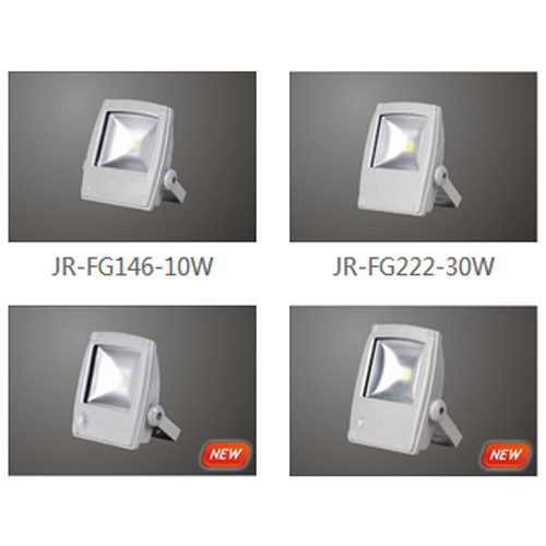 LED Flood Light