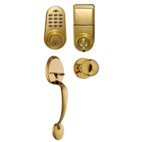 Electronic (Digital) deadbolt