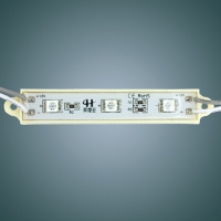 LED Modules