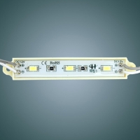 LED Modules