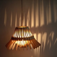 Wooden Lamp / Pendant Lights