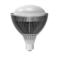 LED Bulbs