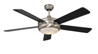 Ceiling fan