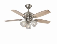 Ceiling fan