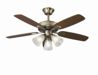 Ceiling fan