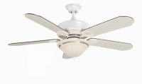 Ceiling fan