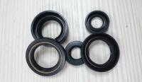 Oil Seal