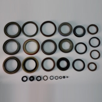 Oil Seals 