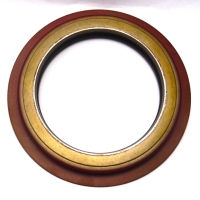 Oil Seal