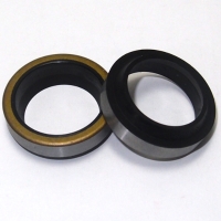 Oil Seals