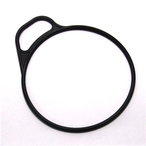 O-ring