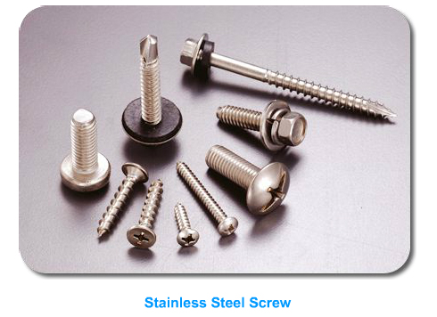 Stainless Steel Screw