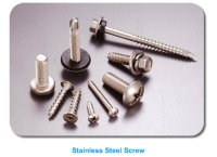 Stainless Steel Screw