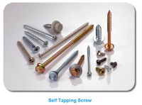 Self Tapping Screw