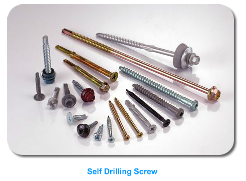 Self Drilling Screw