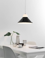 ICON PENDNAT LIGHT