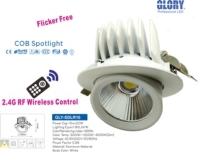 2.4G RF Remote Spot Light