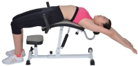 Back Extension Machine