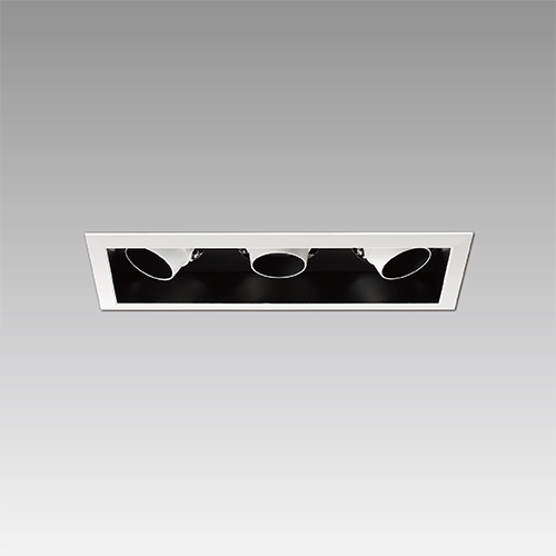 COB Adjustable Downlight - Matrix System