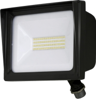 LED Flood light