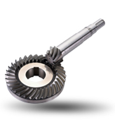 Spiral bevel gear