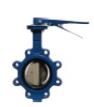 Butterfly Valve