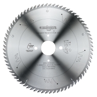 Golden Eagle Panel Sizing Saw