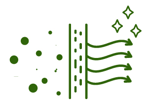 FLE New Generation Antibacterial Liquid