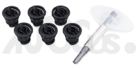 VAG Drain Plug & Tool Set