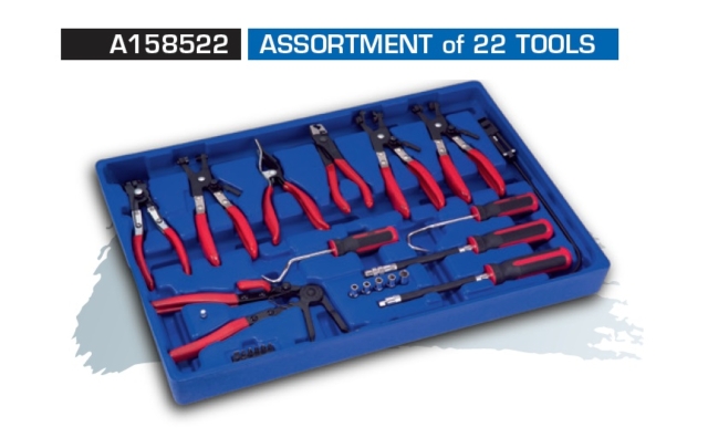 A158522 ASSORTMENT of 22 TOOLS