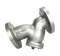 HJV-30 JIS-10K FC Y-type Strainer flange end