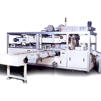 Automatic Bundle Packaging Machine