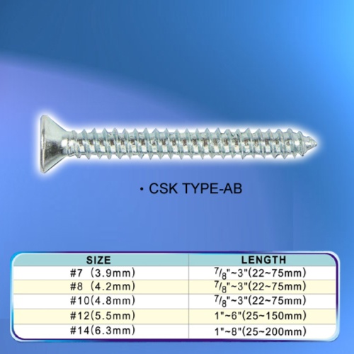 CSK TYPE-AB