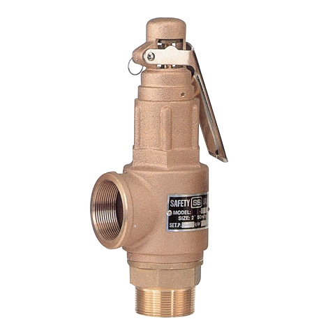 Safety Relief Valve