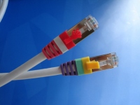 CAT.6A Patch Cord