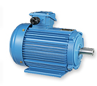 IEC Motor AM (Aluminum) Series - AMEF