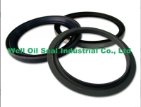 Oil Seal