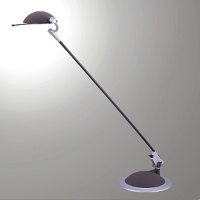 Halogen lamp