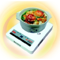 Digital Electronic Stove