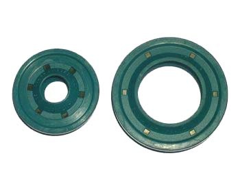 Oil Seals