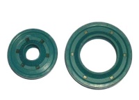 Oil Seals