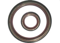 Oil seals