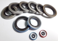 PTFE seals