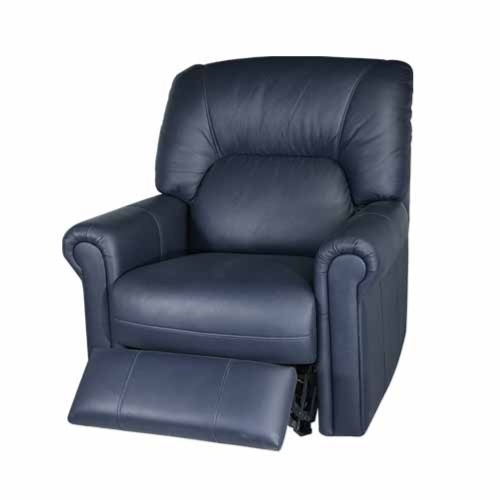 Leisure Chair, Office Furniture, Living Room Furniture, Study Furniture