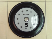 Victory 5KG Bumper Plate