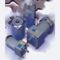 Compact AC/DC Gear Motor