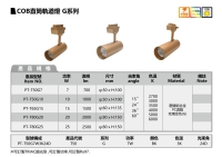 COB直筒轨道灯 G系列