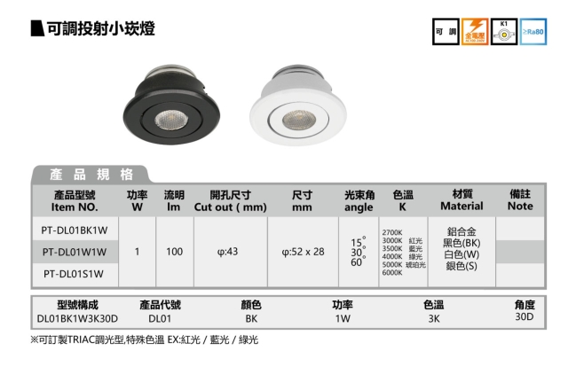 PROJECTOR DOWNLIGHT