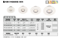 可调COB投射坎灯-Z系列