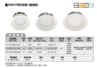 SMD PROJECTOR DOWNLIGHT